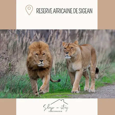 Carcasses アパート *