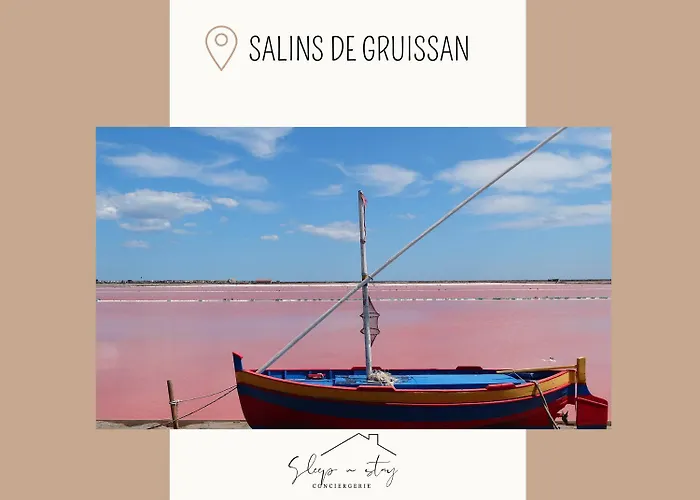 Carcasses Daire Carcassonne